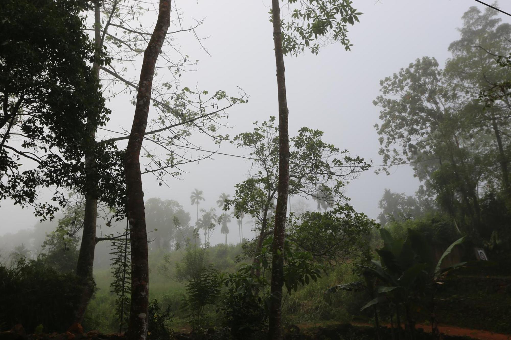 360 Rainforest Deniyaya Exterior photo
